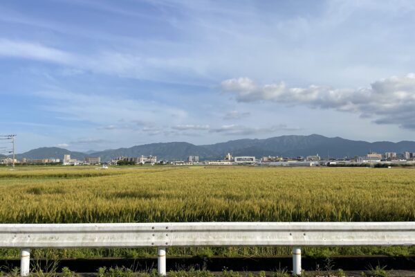 不動産の観点から「農地」を考える