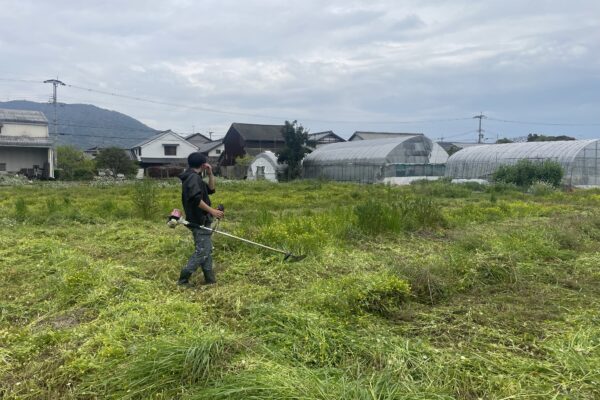 夏を迎える前の「草刈り作業」がんばってます！