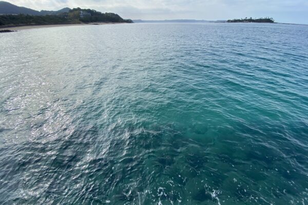 糸島の海